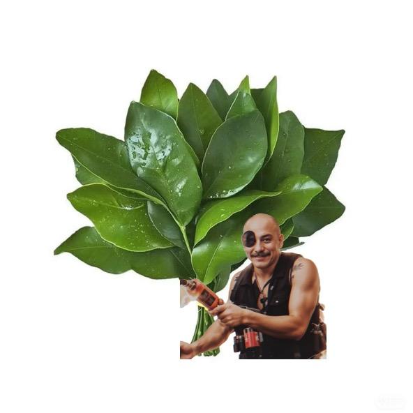 郑能亮