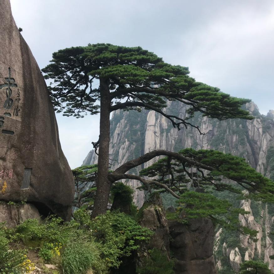 快乐每一天