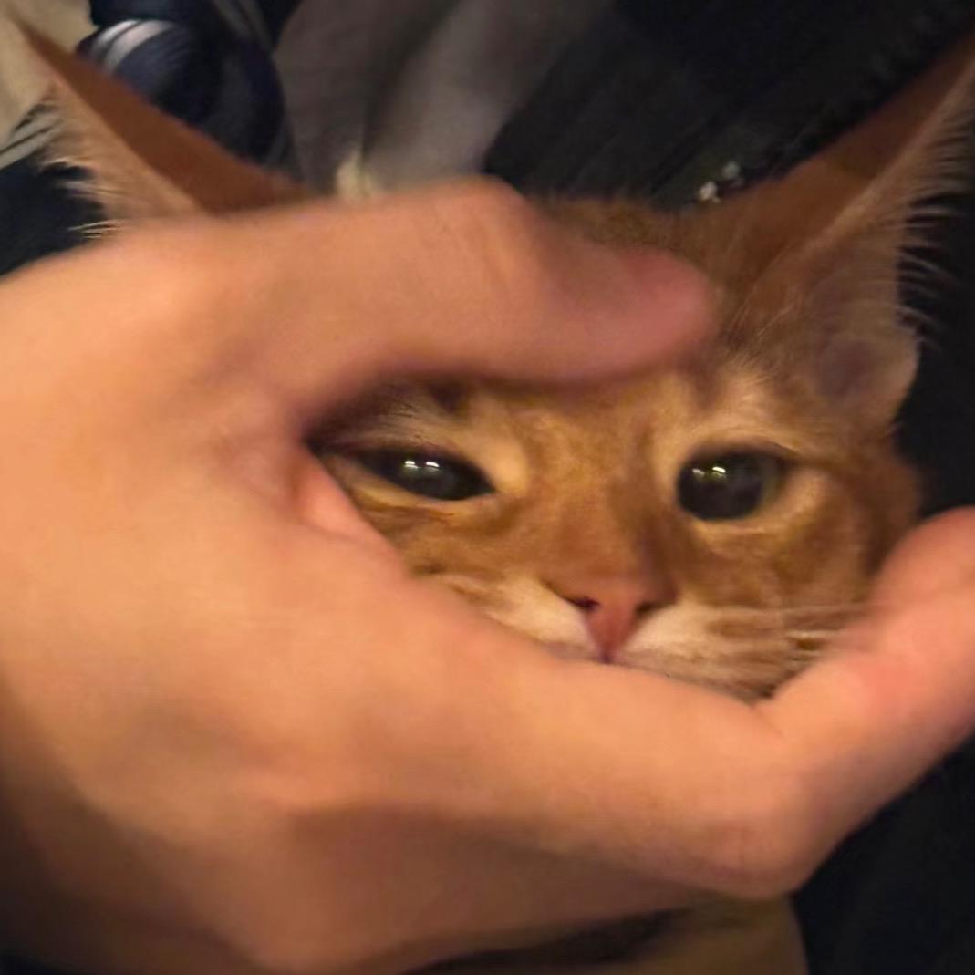 泥芝士甘薯么！