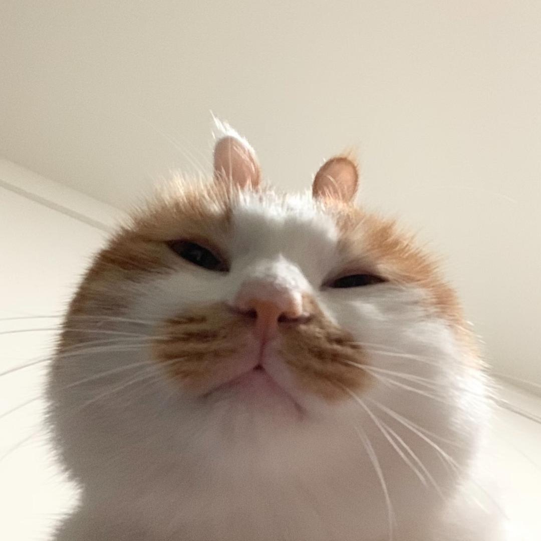 人类只是我的兼职