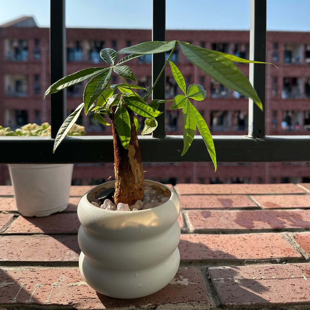 忧郁函数❤️‍🔥