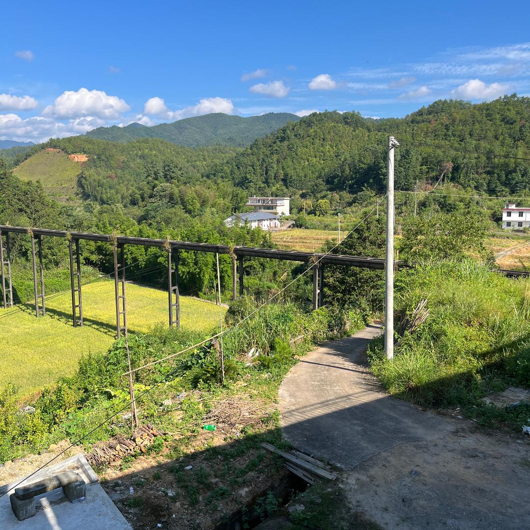橙z