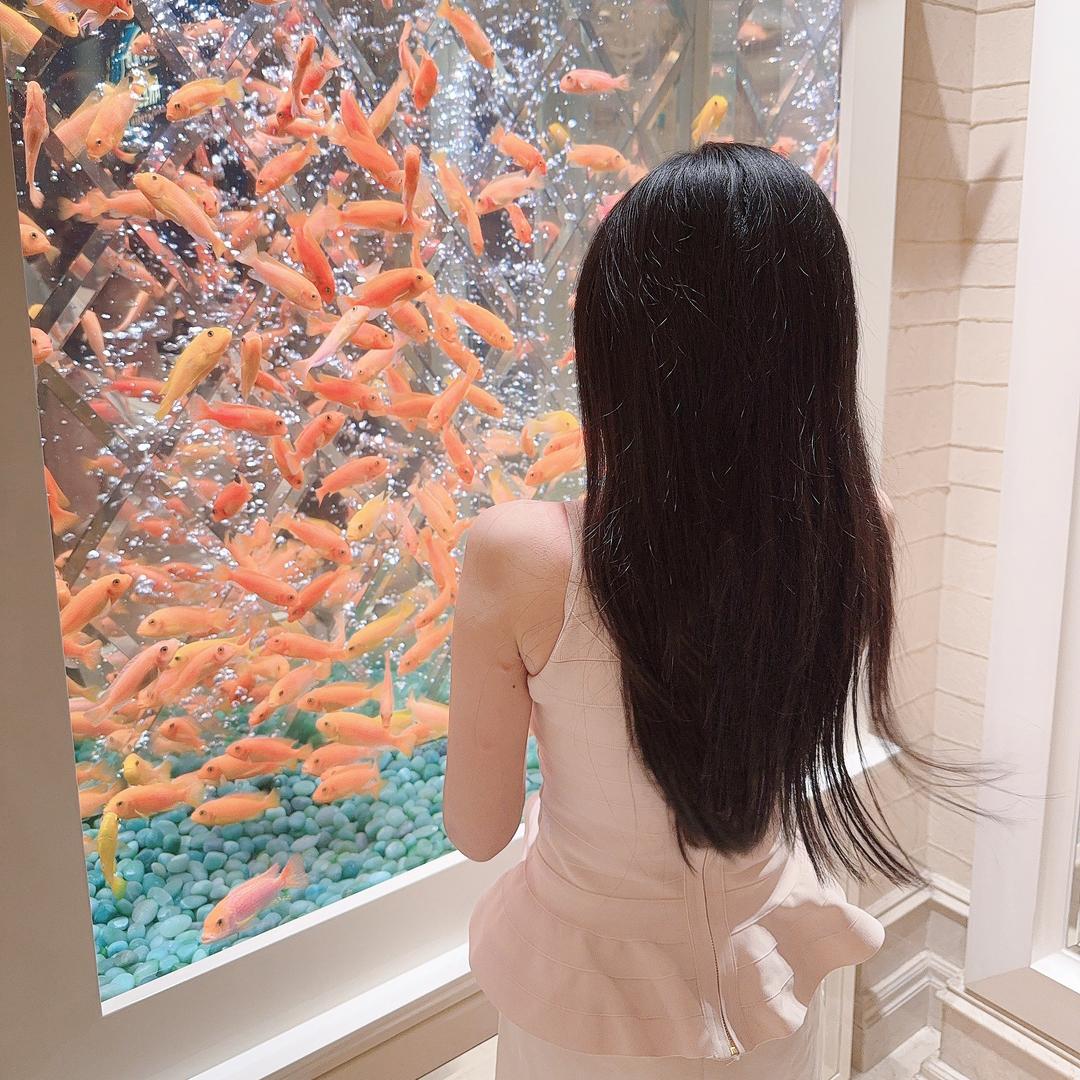 朦胧又朦胧