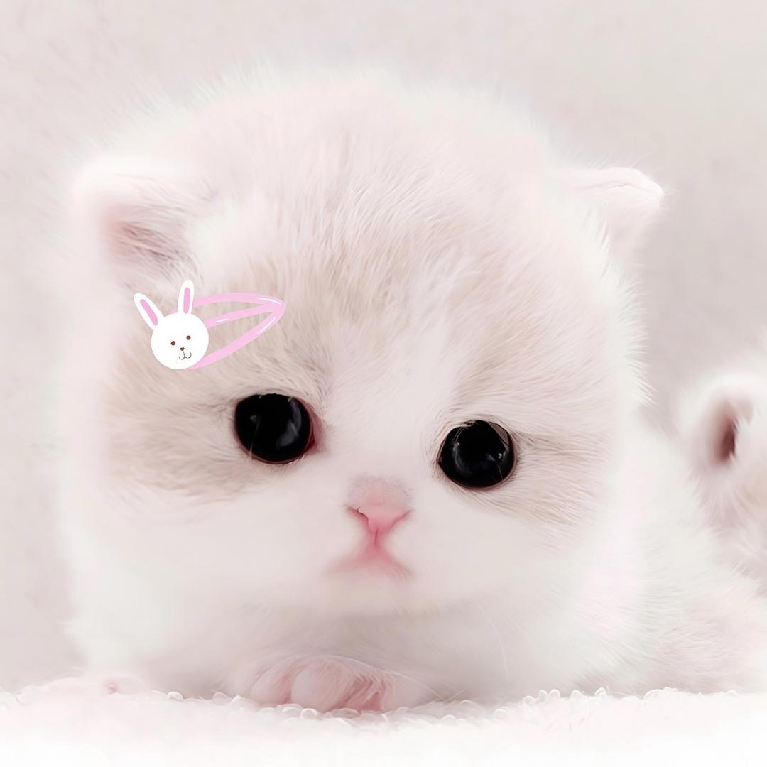 2uii