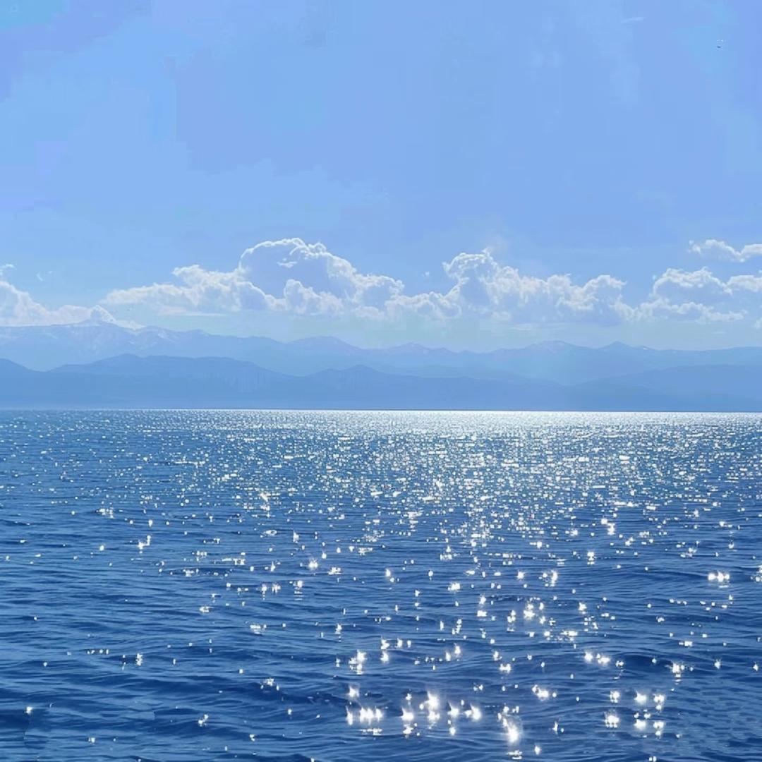 开心果果🌊