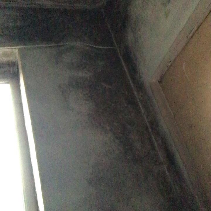 励志的胖子