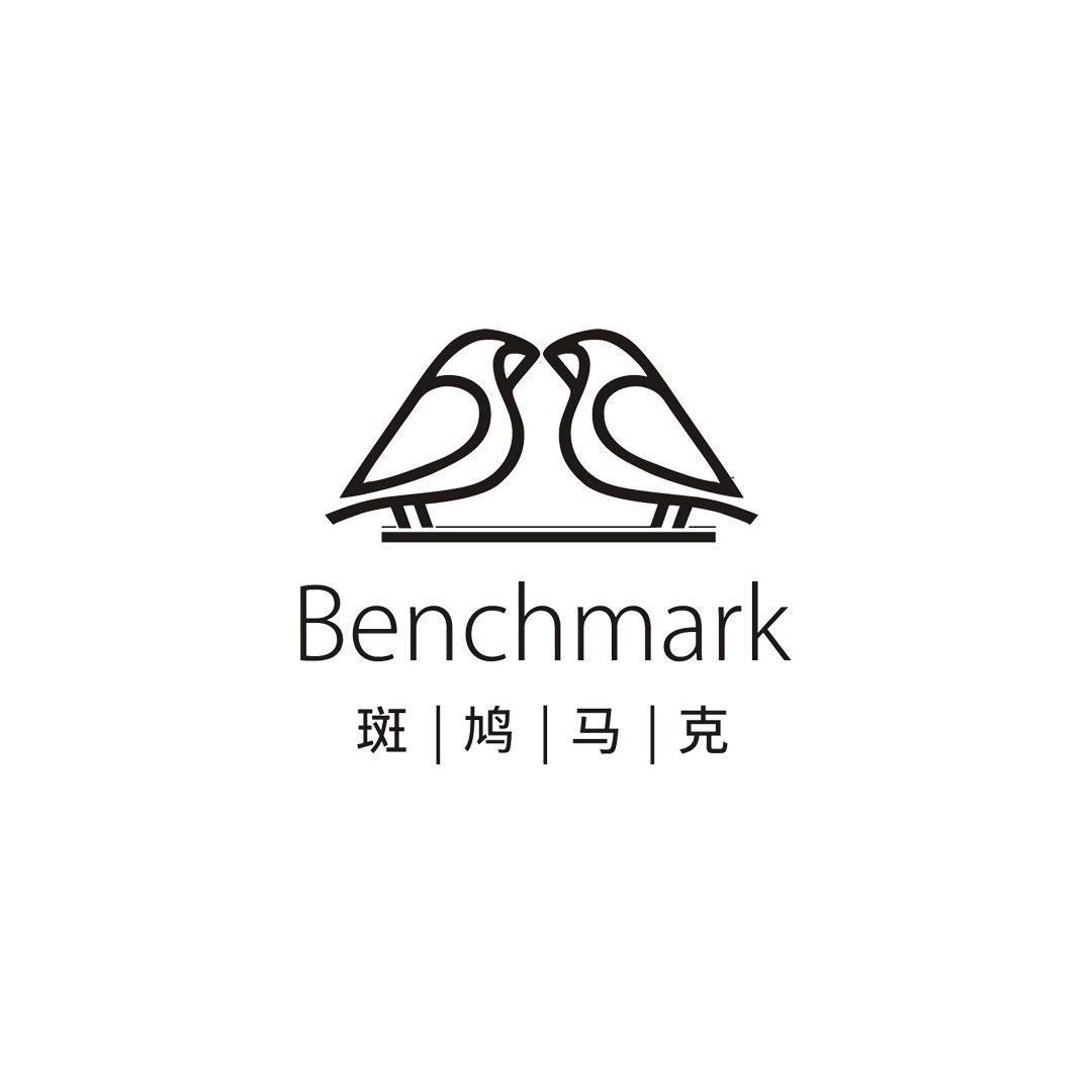斑鸠马克表带