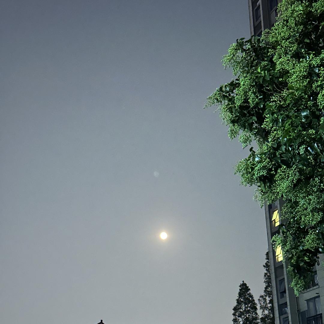 小璐女装