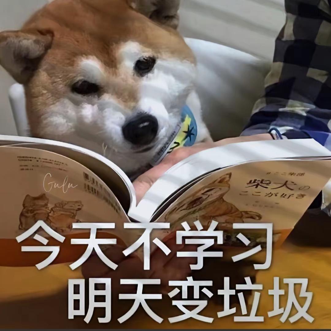 鱼与雨与云