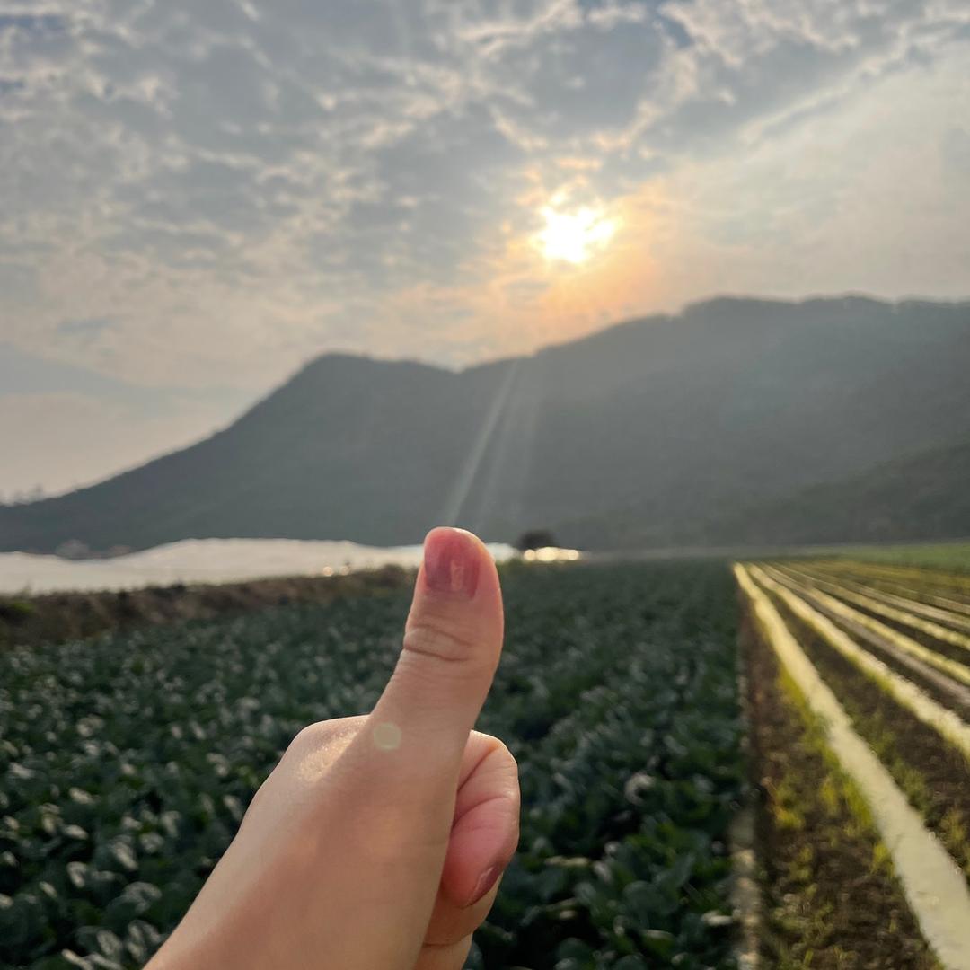 路漫漫其修远兮