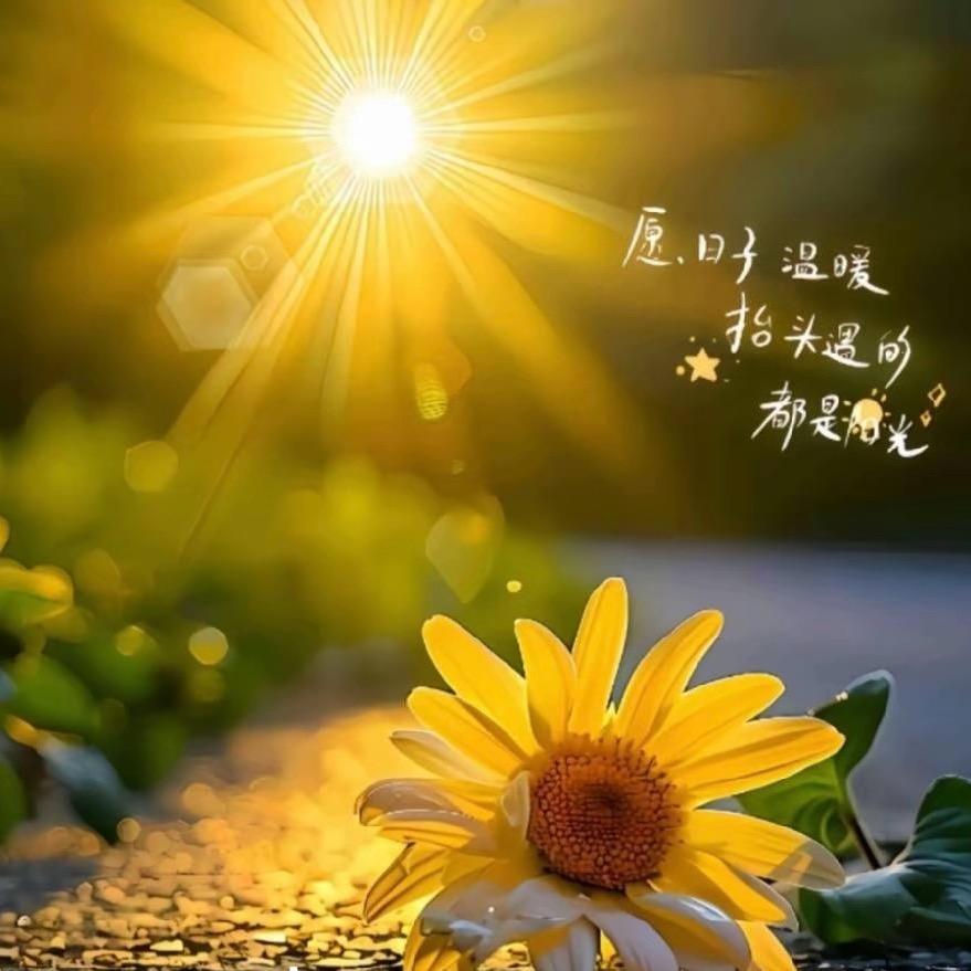 爱财 悦己