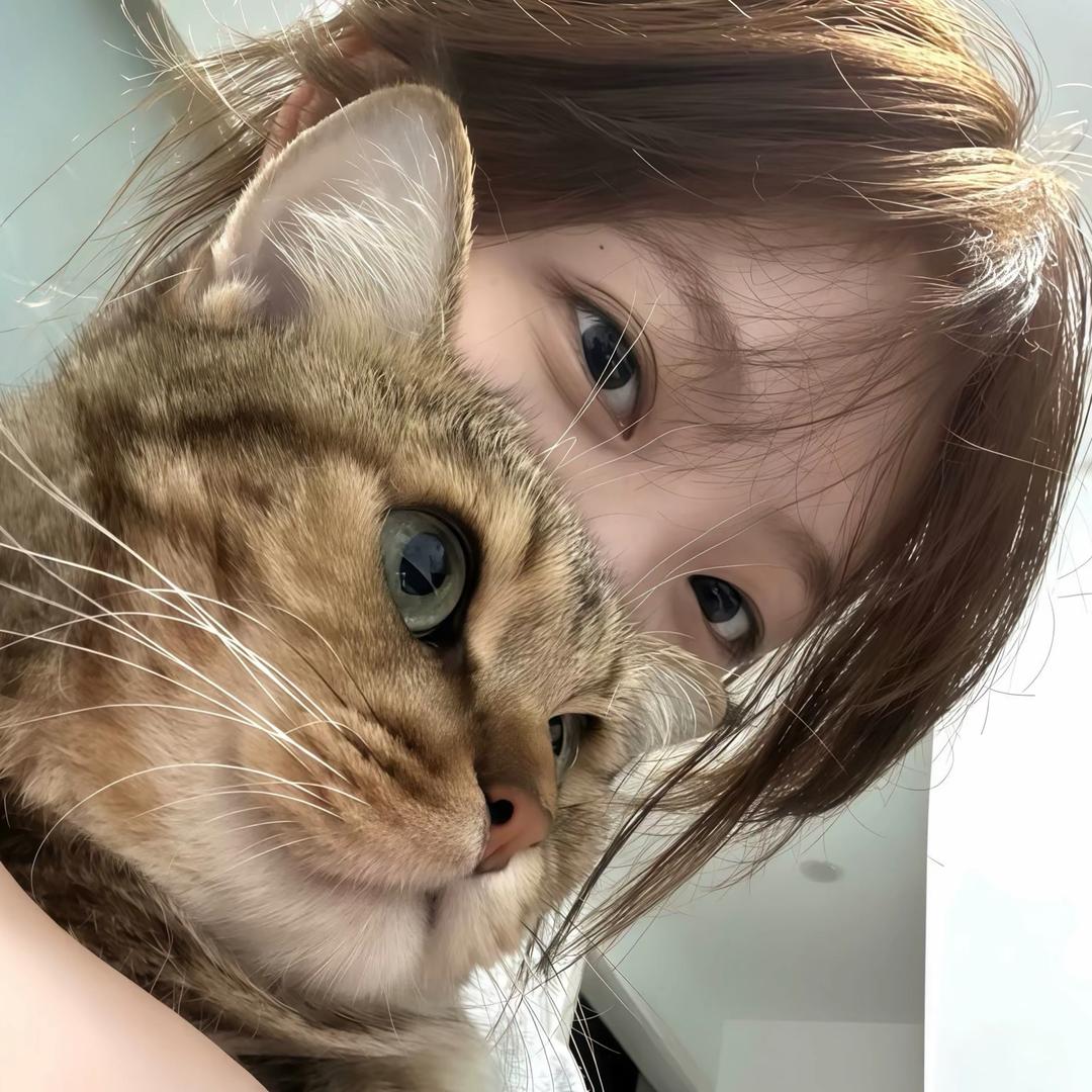 ㅤㅤㅤㅤㅤㅤ       ㅤㅤㅤ