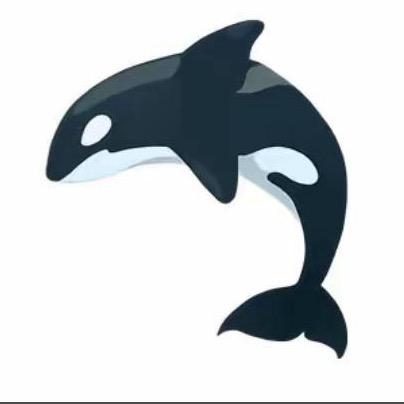 虎头鲸每天都在骂队友