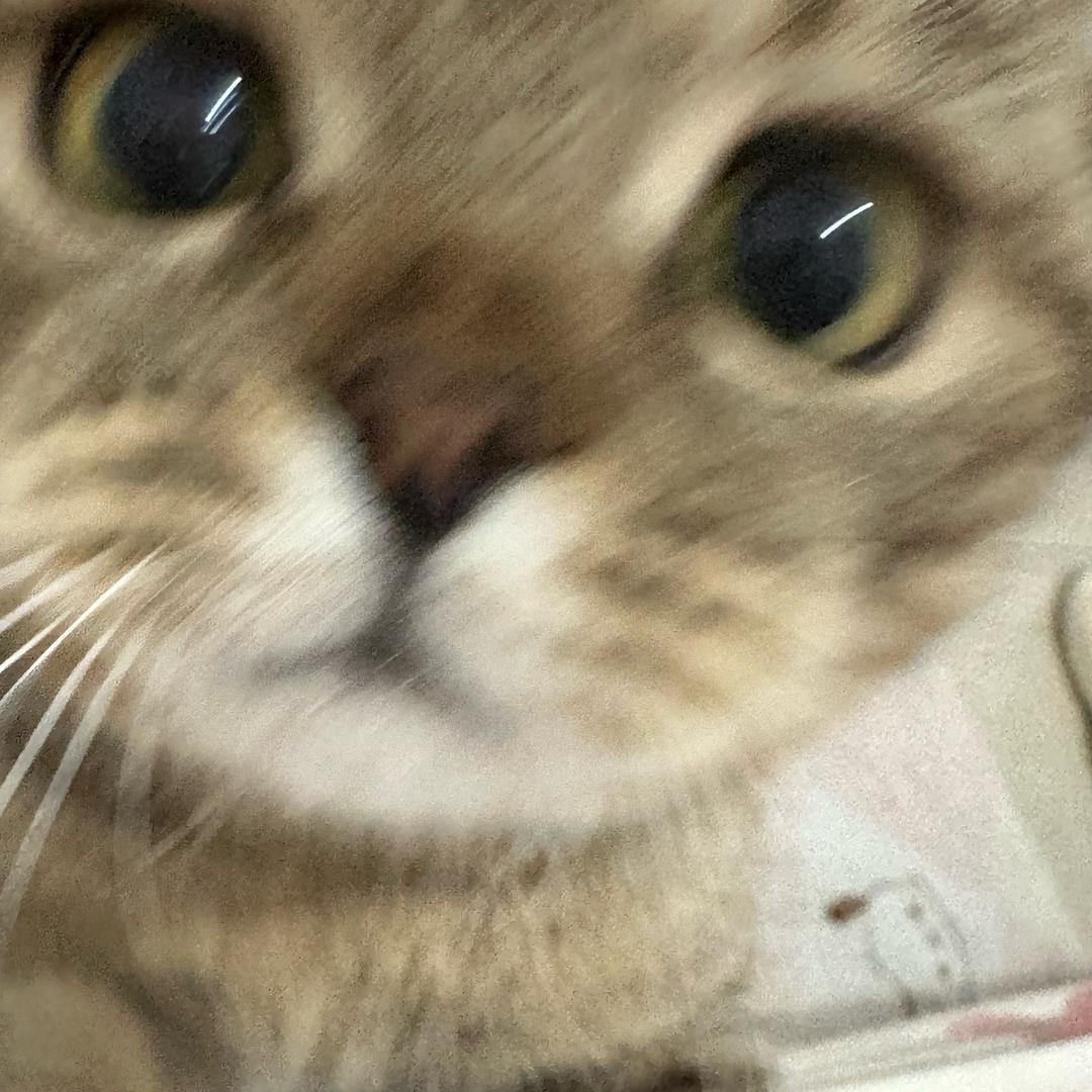 羞咪