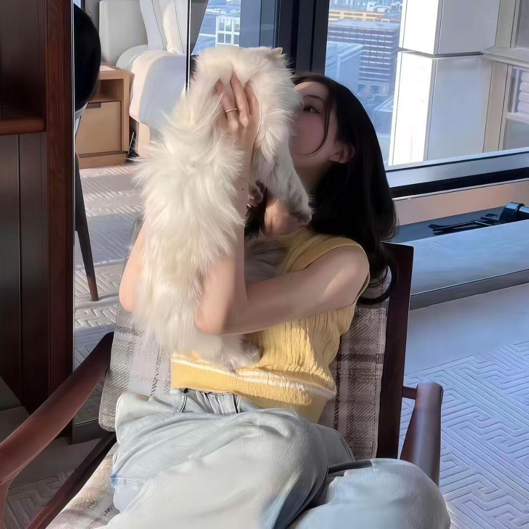 林月白