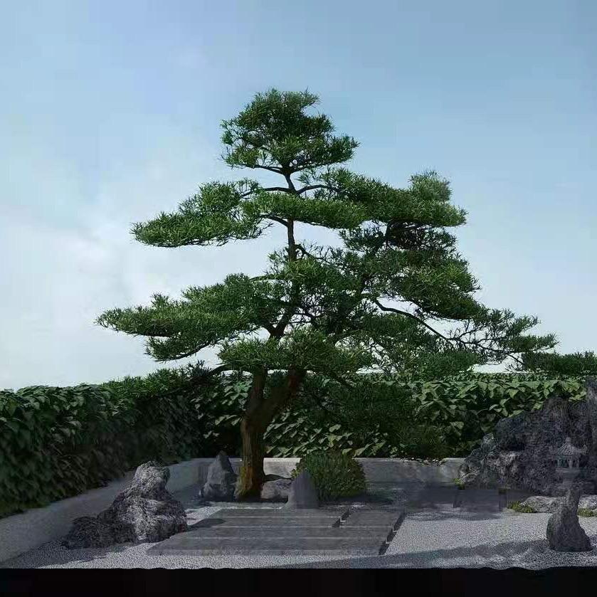 @涵涵