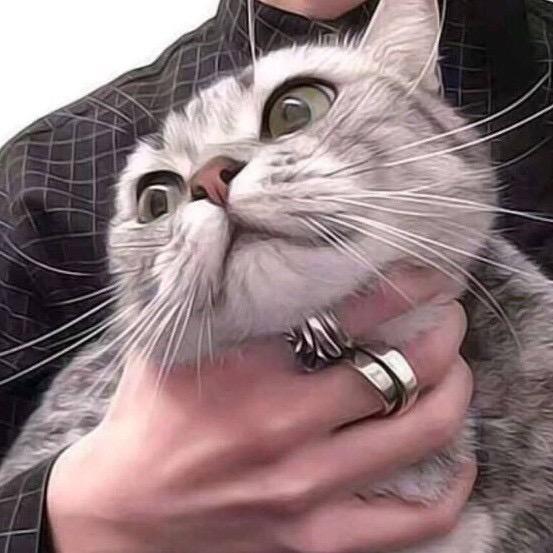 螃蟹S