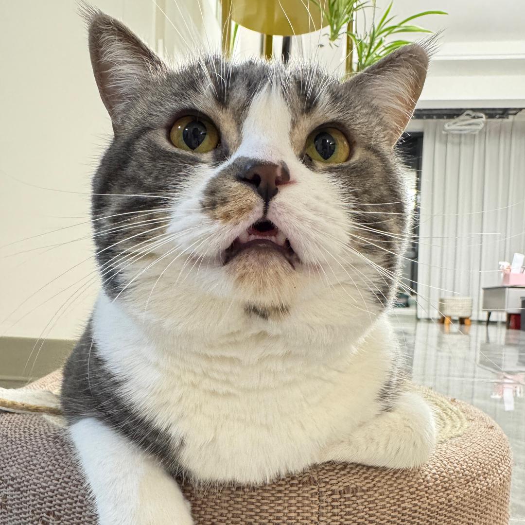 李大福