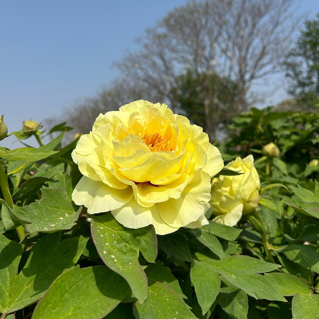 A春暖花开
