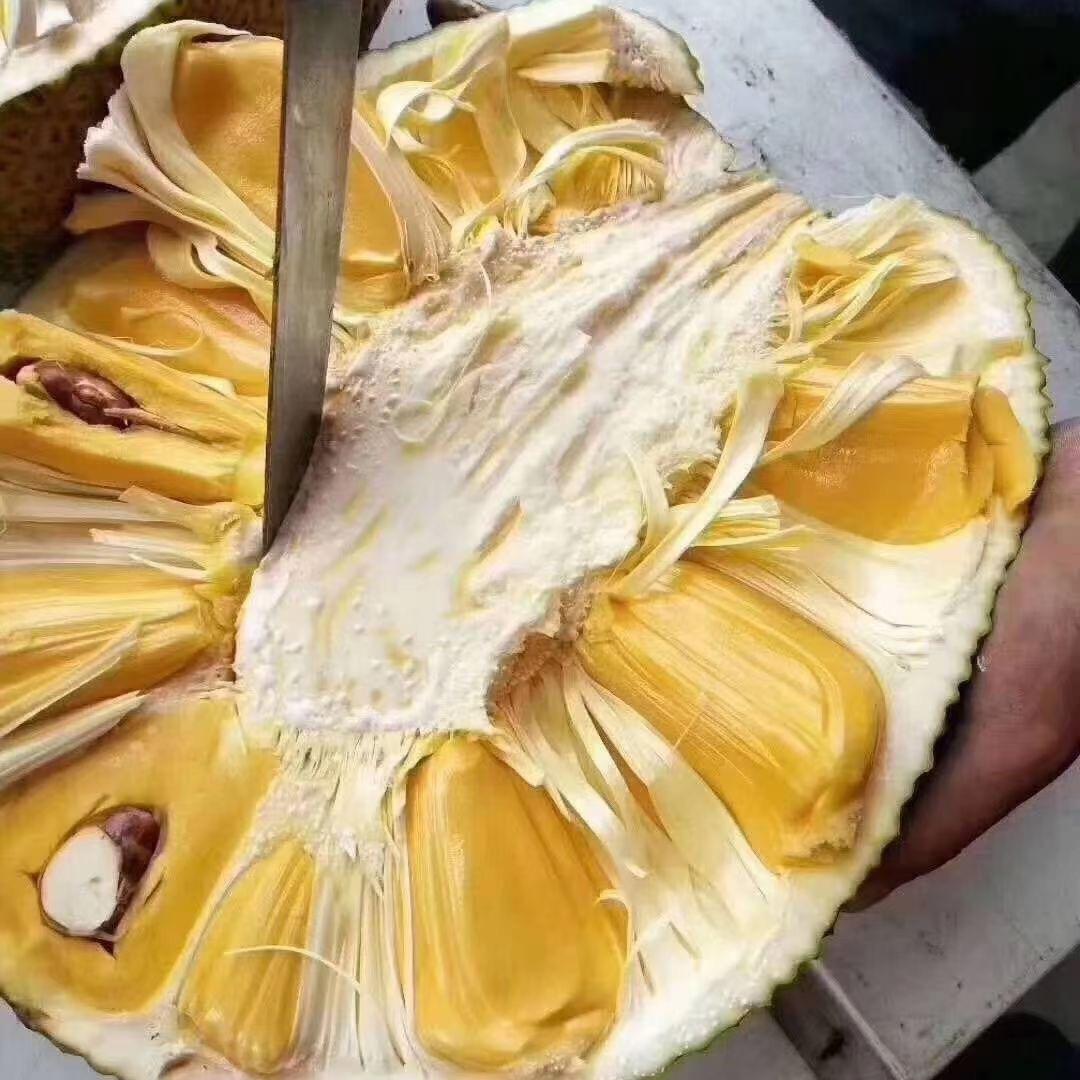 各地应季水果销售户