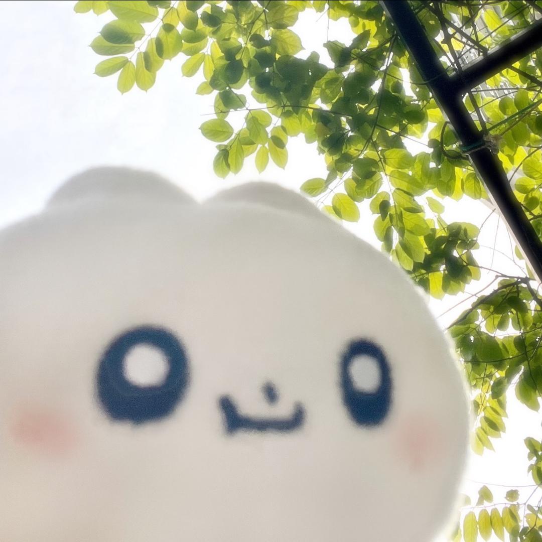 消化不良