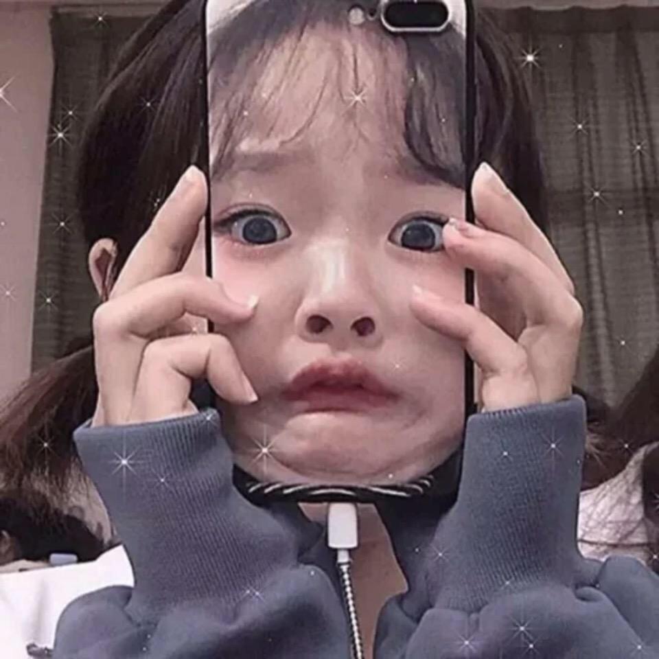 茶茶很皮