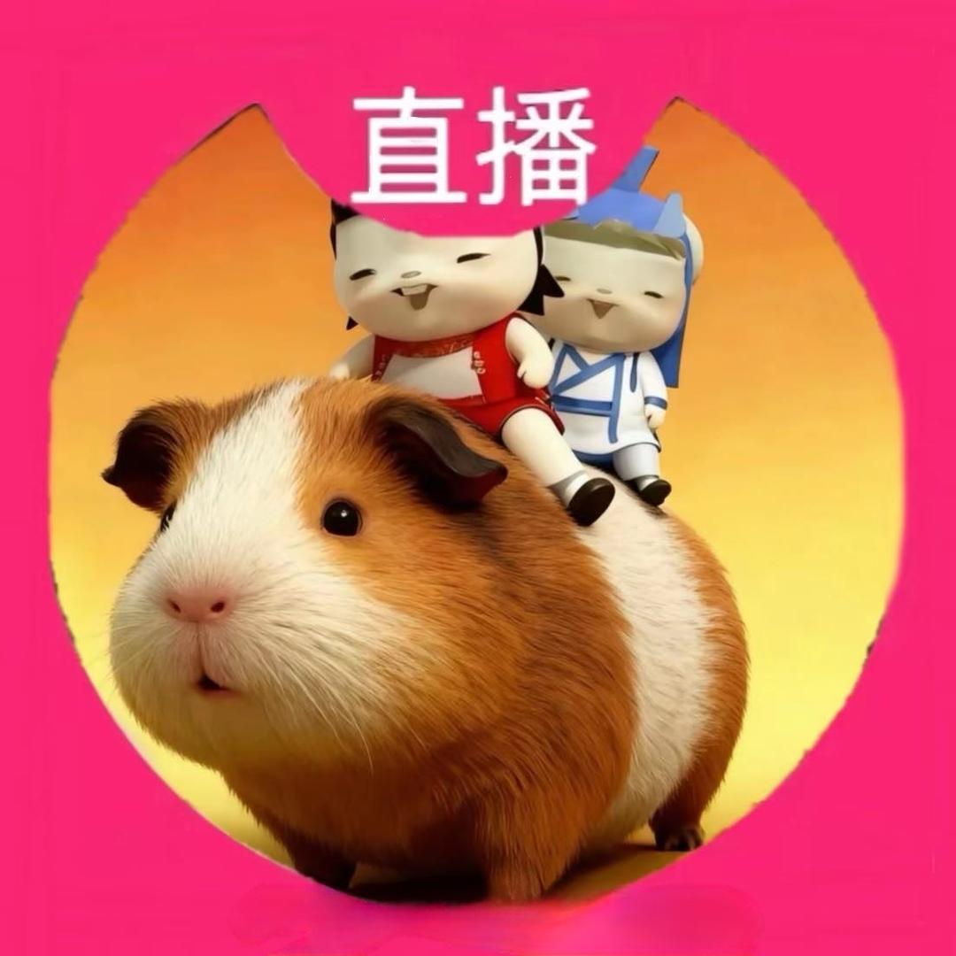 用户TvTnal