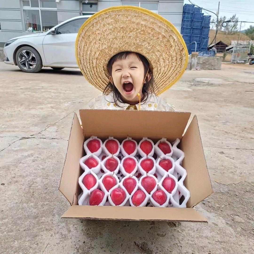 鹿乡果果家