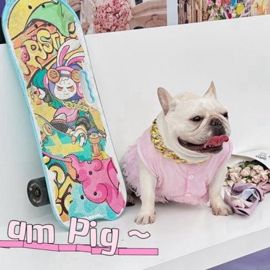 滑板小pig