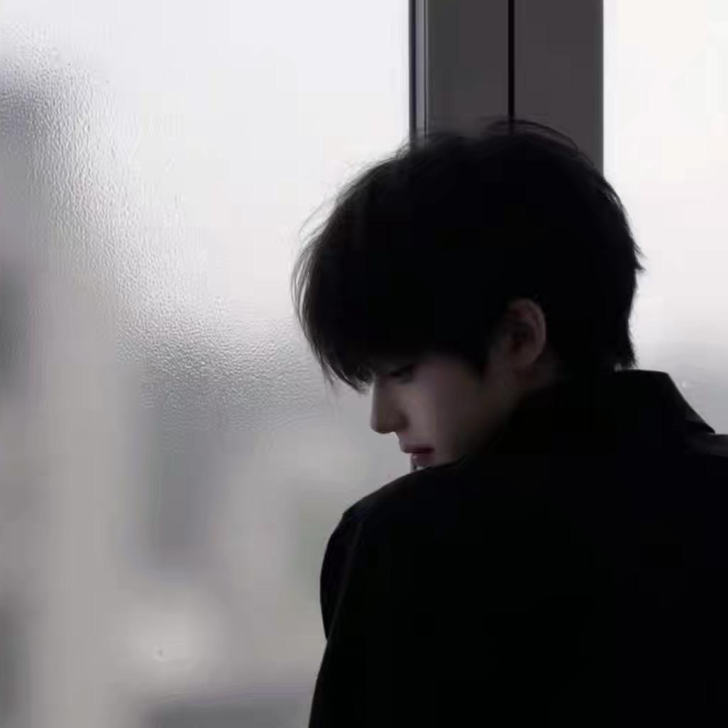浙꧔ঞ小鲨鱼