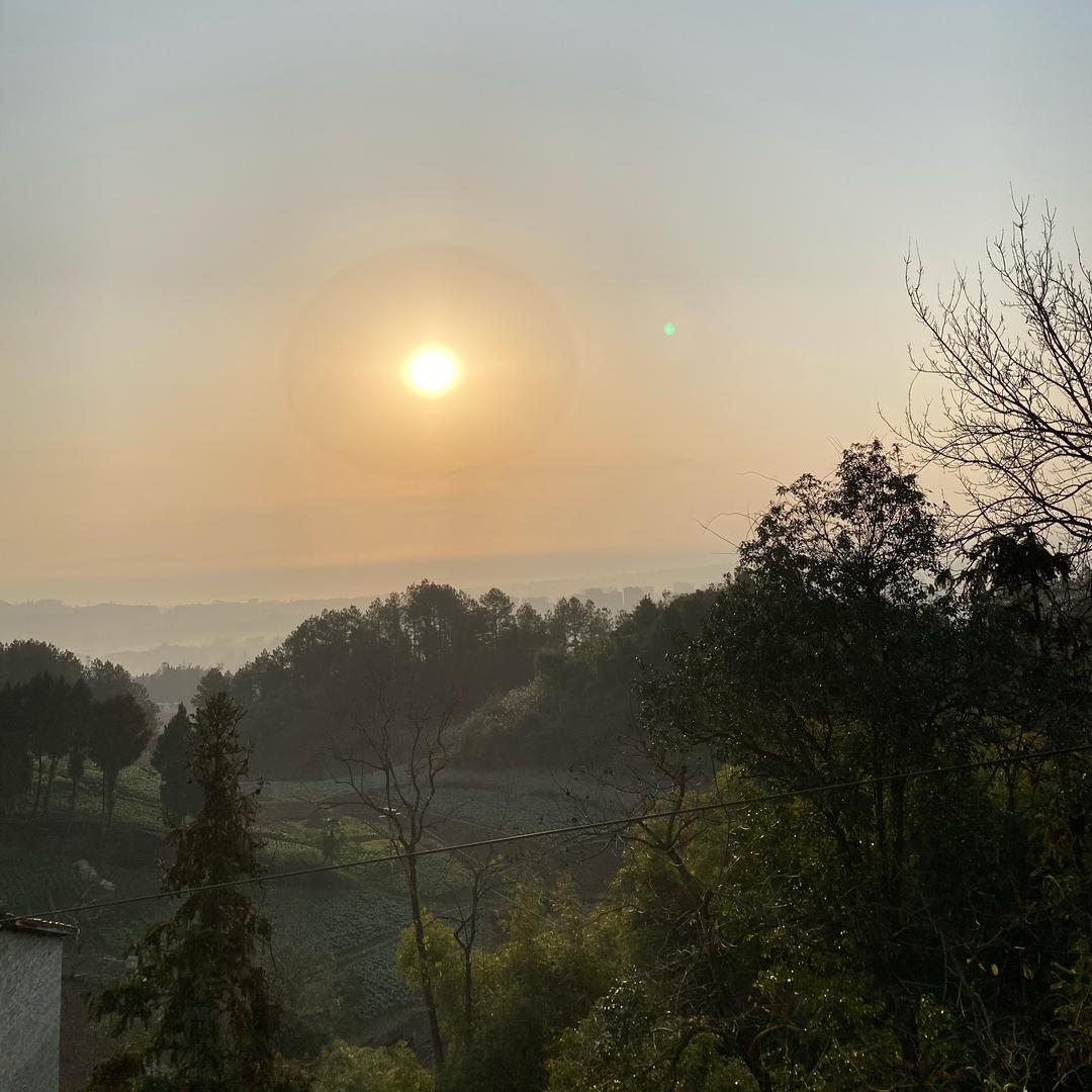 岁🌜月✨静🌻好