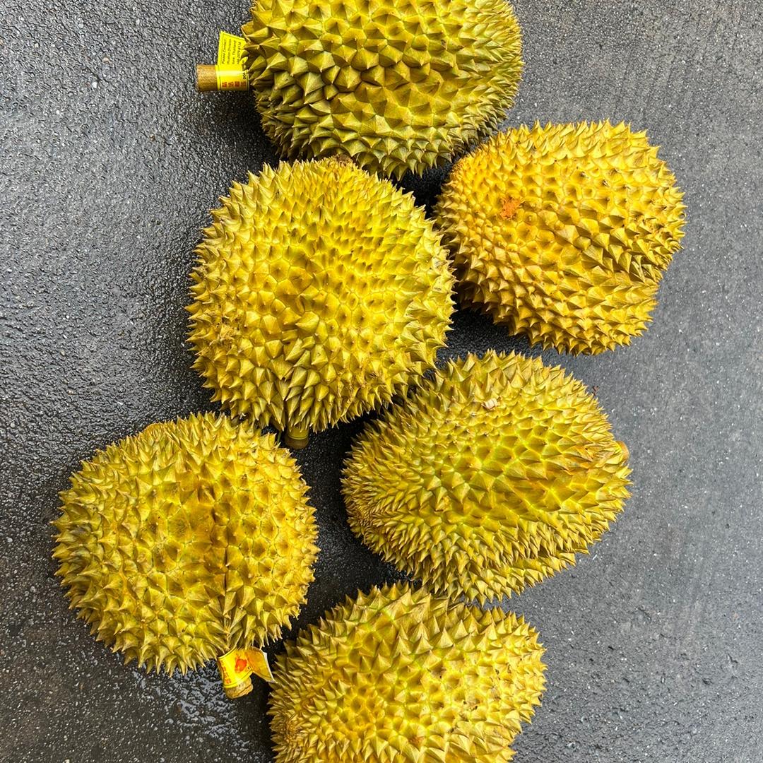 苏隆榴莲