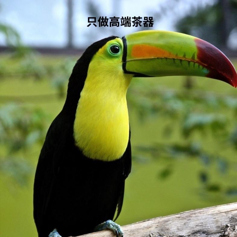 大鸟茶具精品店