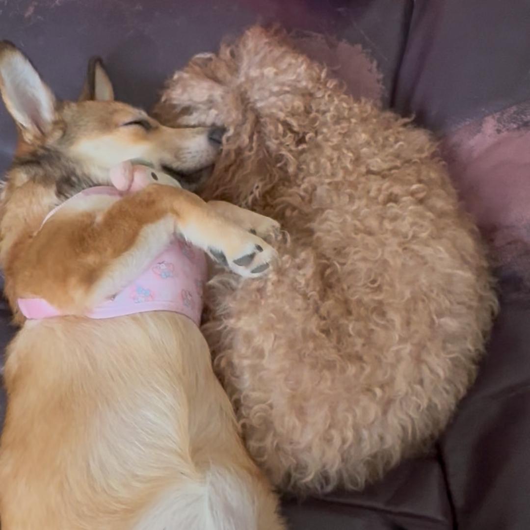 为10万元努力💪