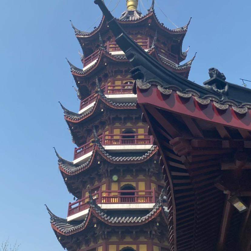 飞弟星光村的日常