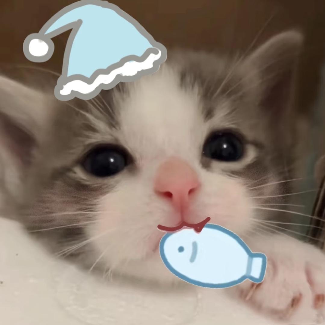 我对你何止半分真心