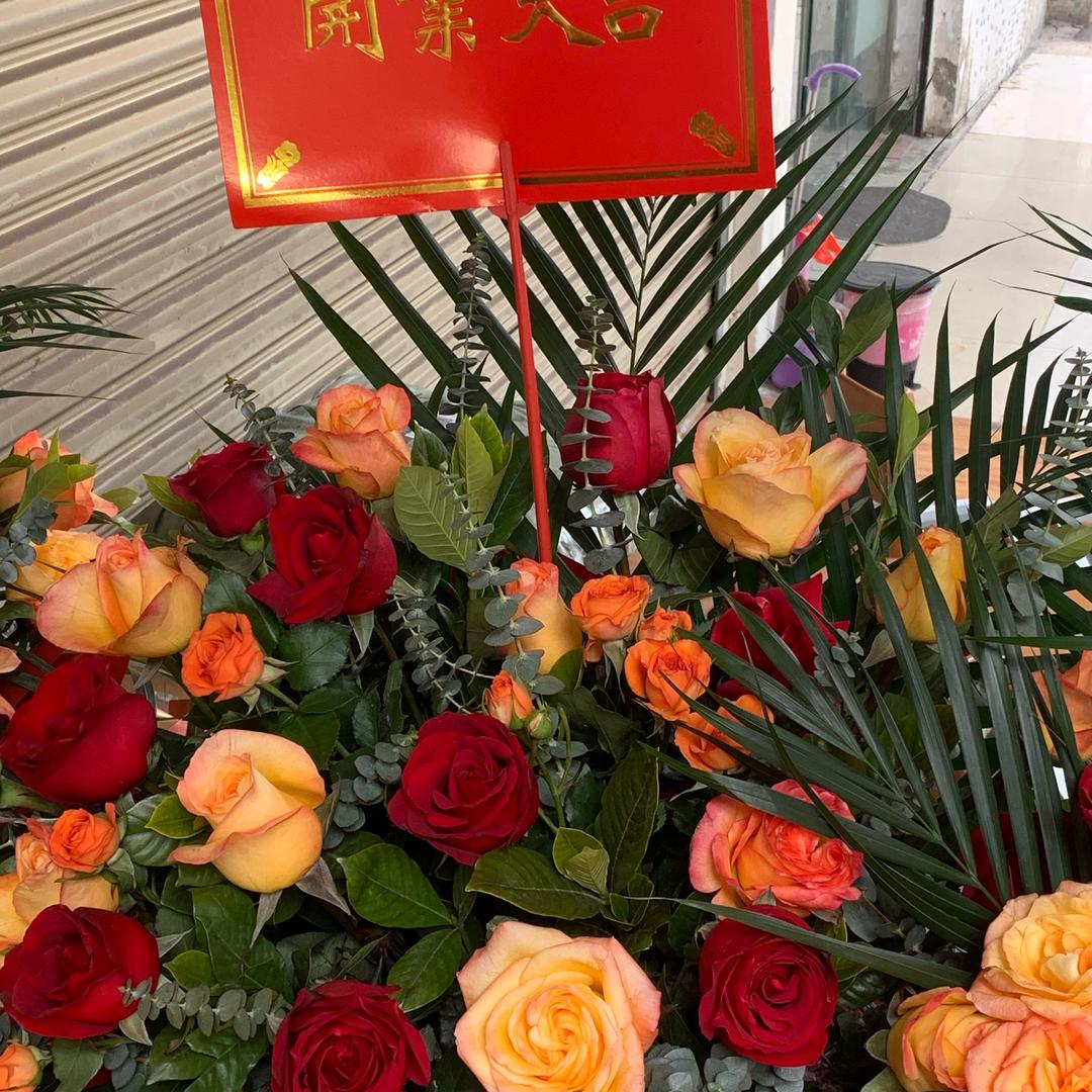 萍萍萍