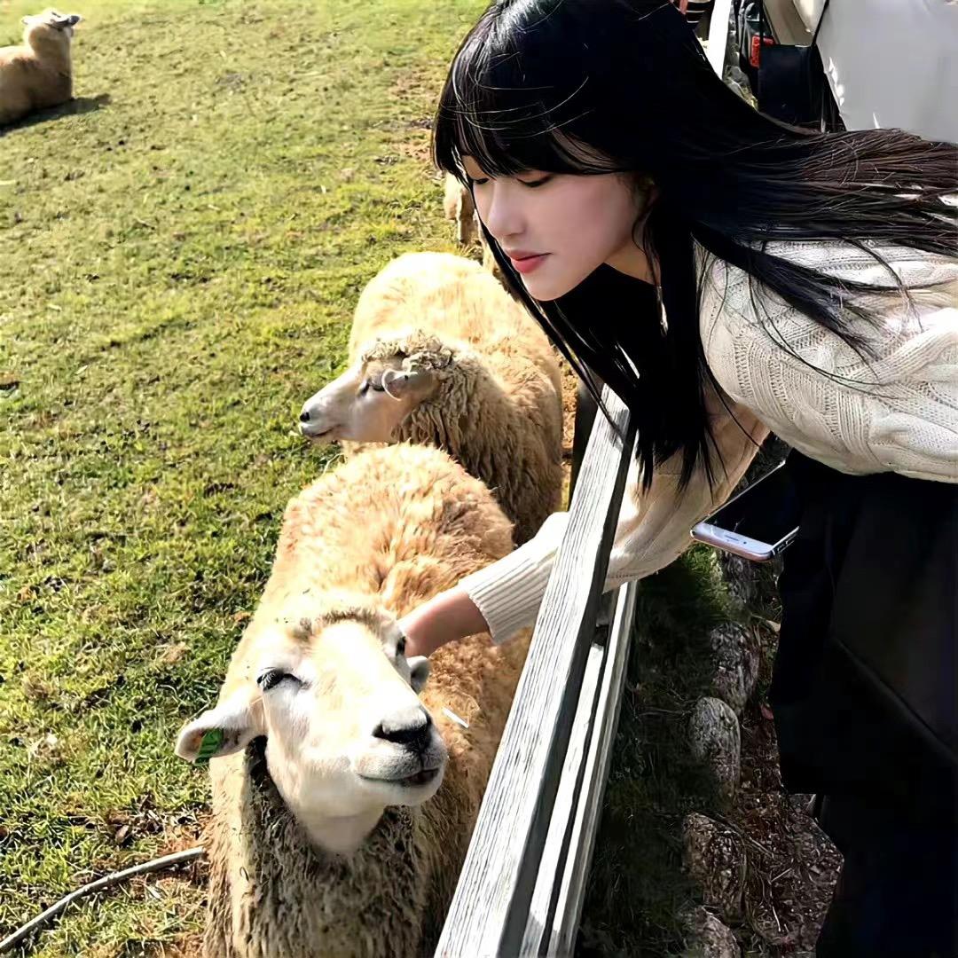 奶黄包包