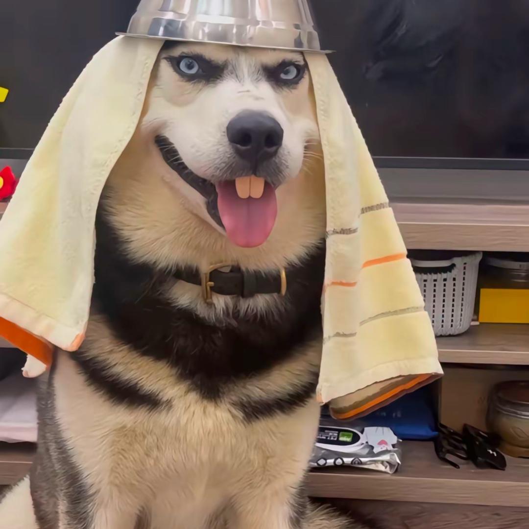 66668888