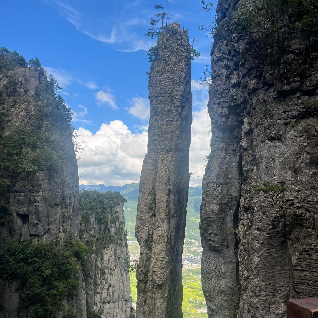 盛哥