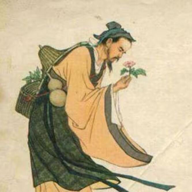 鹿柴养生