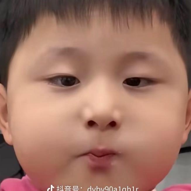 呆呆鱼