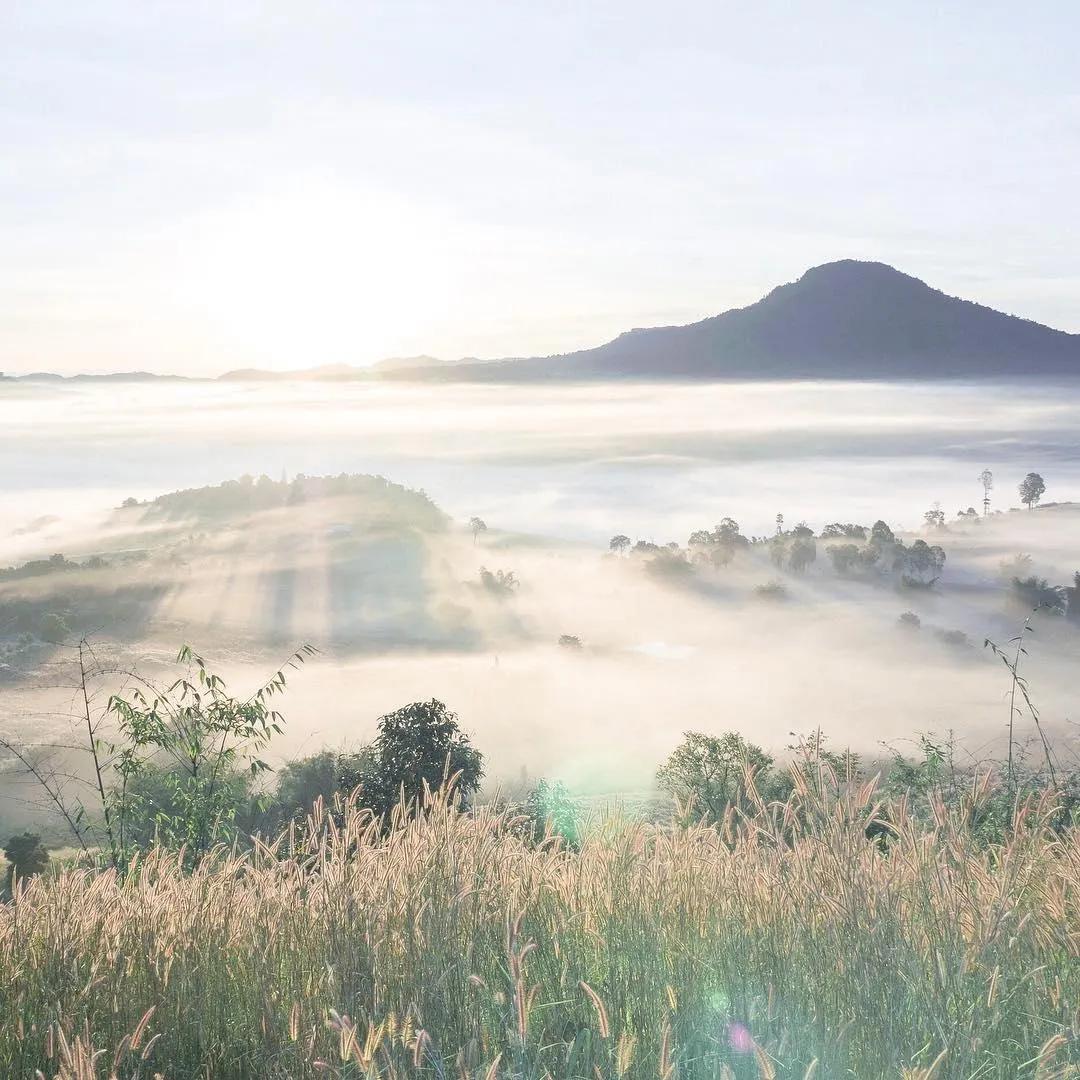 大飞呀李员工号
