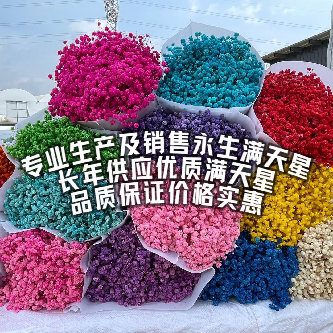 锦上添花永生花工厂