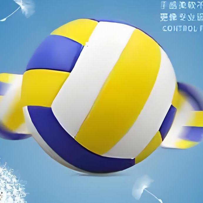 中国排球阿右