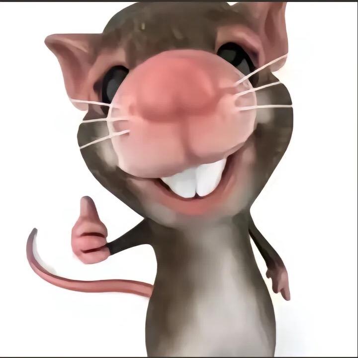 老鼠🐭