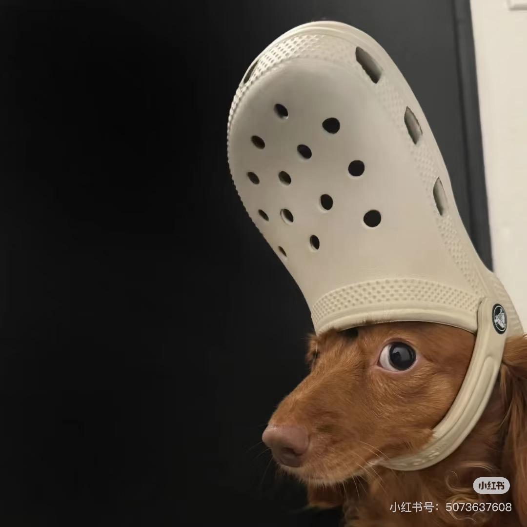 你的头发怎么绿了