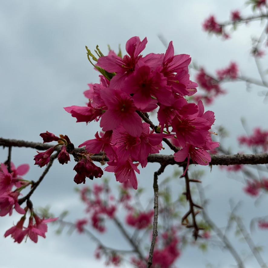 晓幸运 （不要连赞）