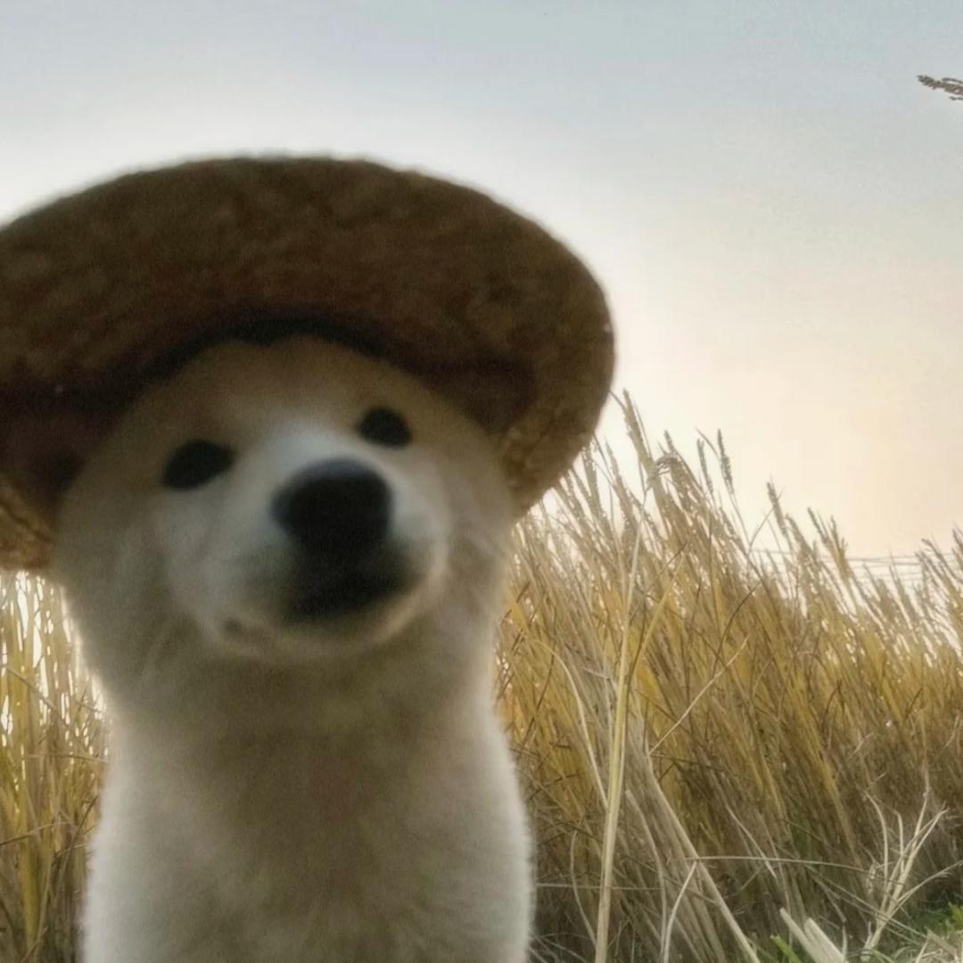 hia