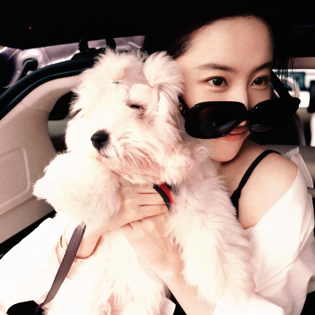 小Y